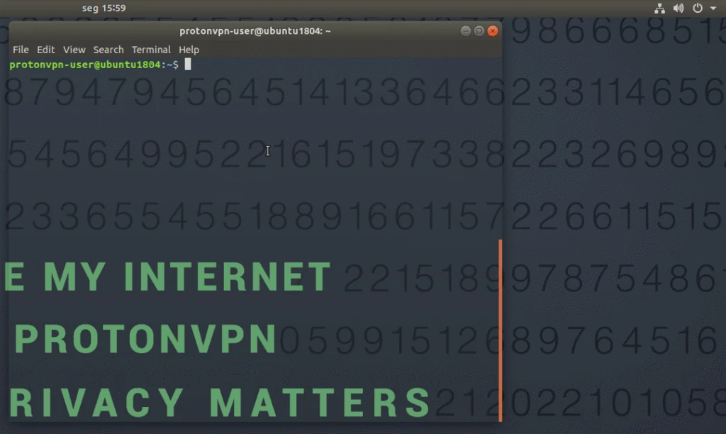 Conexión exitosa en ProtonVPN para Linux