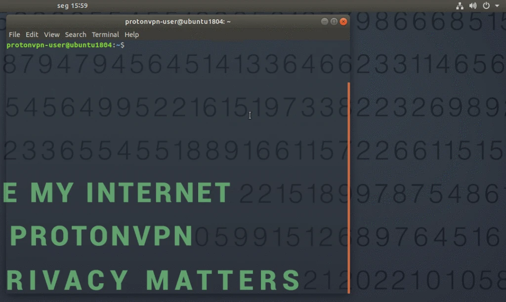 Pantalla de conexión de ProtonVPN en Linux