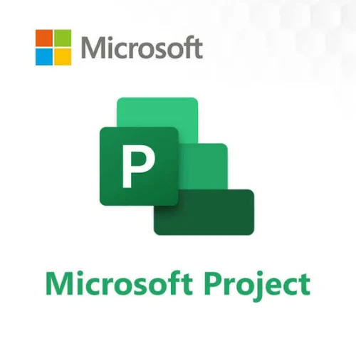 Microsoft Project Standard 2024 Multilenguaje Licencia Perpetua Uso Comercial ESD Descarga Digital
